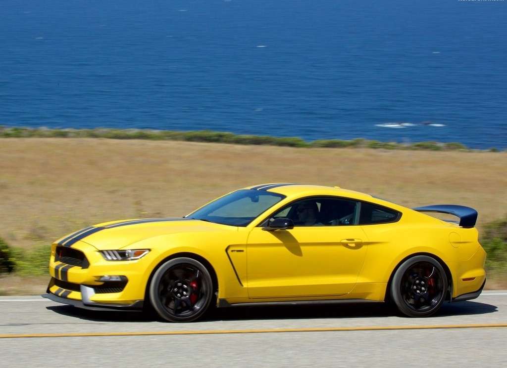 Ford Mustang Shelby GT350R 2