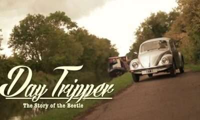The Story of the Beetle