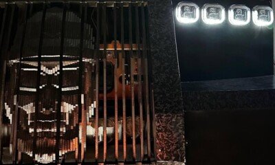 DARTZ PROMBRON BLACK STALLION CLV PLATINUM (1)