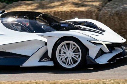 Apollo Evo Caribbean Dragon