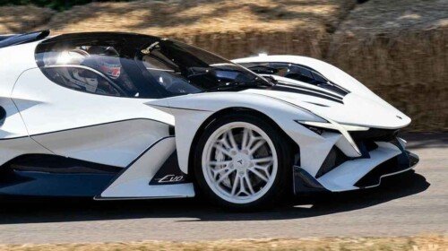 Apollo Evo Caribbean Dragon