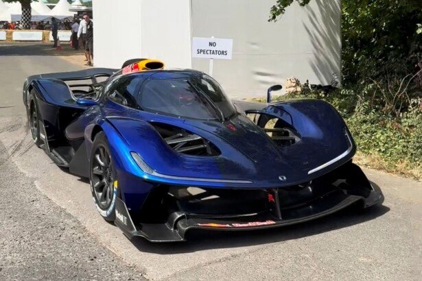 Red Bull RB17-Adrian Newey-Goodwood