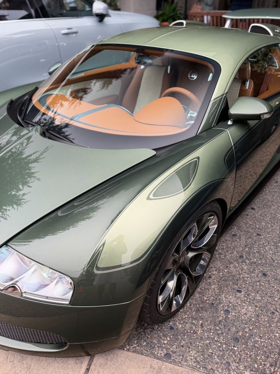Bugatti Veyron Le Directeur-2