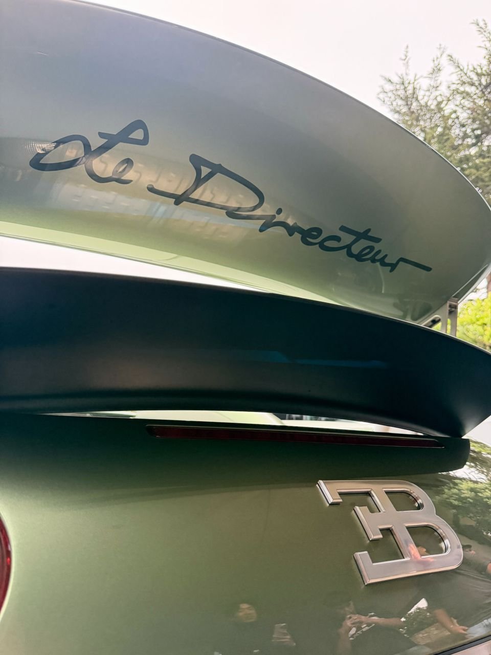 Bugatti Veyron Le Directeur-4