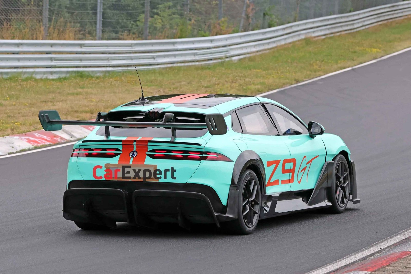 Wild Denza Z9 GT-nurburgring (1)