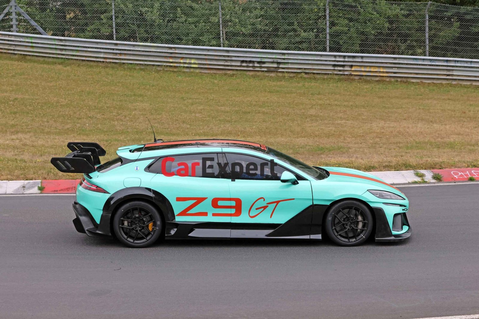 Wild Denza Z9 GT-nurburgring (1)