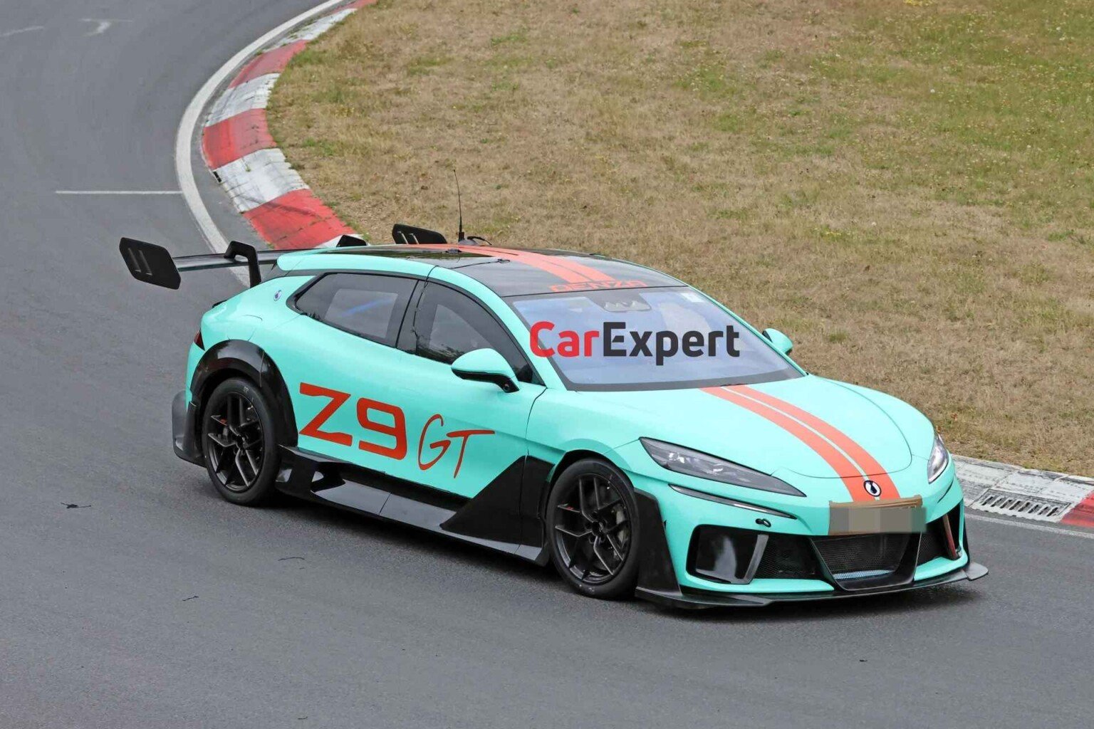 Wild Denza Z9 GT-nurburgring (3)