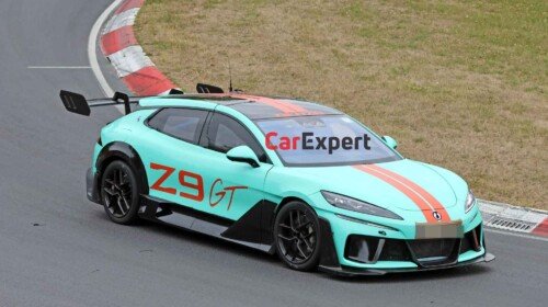 Wild Denza Z9 GT-nurburgring (3)